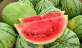 今日吃瓜51,揭秘娱乐圈最新热点事件